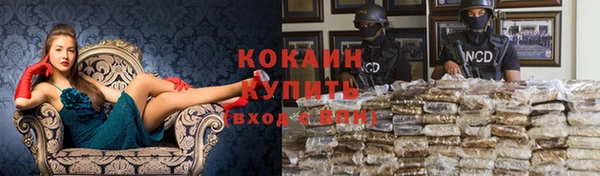 шишки Нея