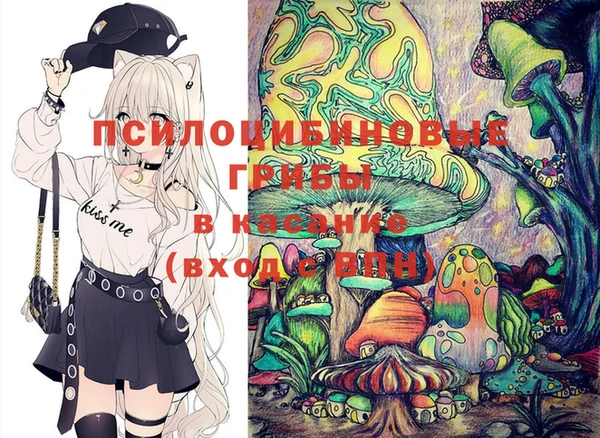 ALPHA-PVP Новозыбков