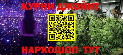 гидропоника Канаш