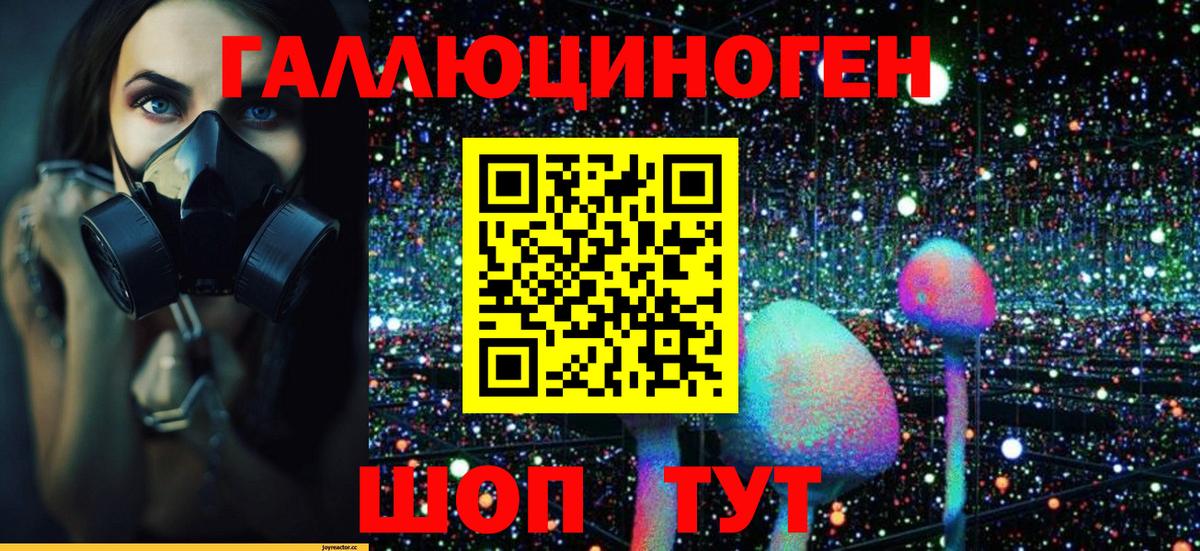 Галлюциногенные грибы Psilocybe Куйбышев