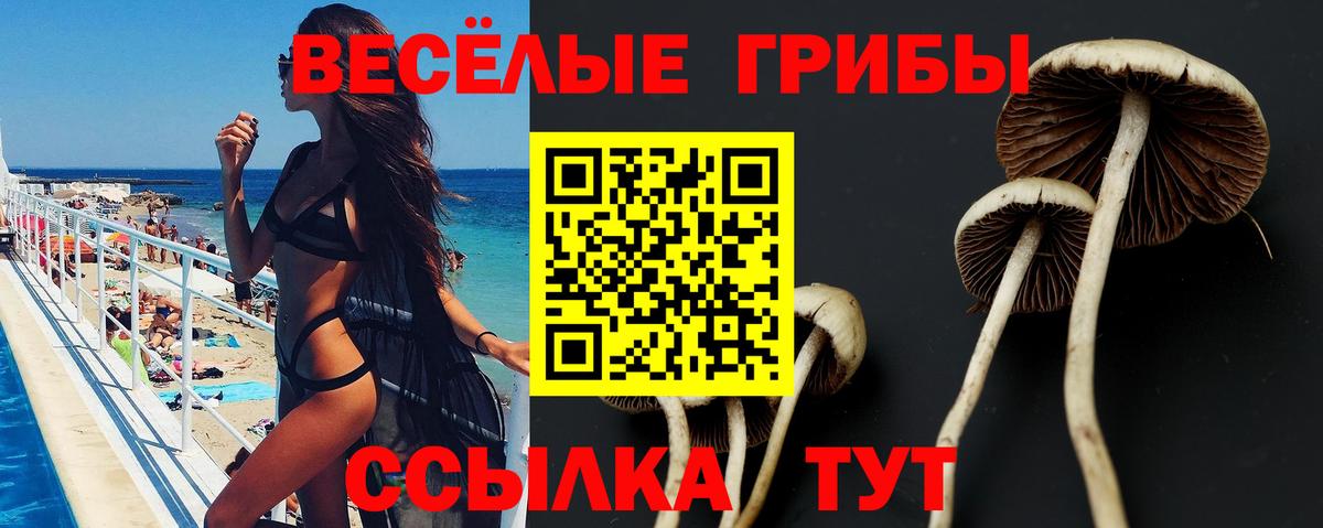 Галлюциногенные грибы мицелий  Куйбышев 