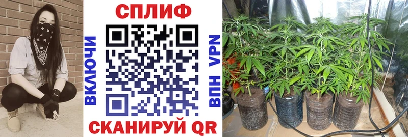 Бошки Шишки тримм  Куйбышев 
